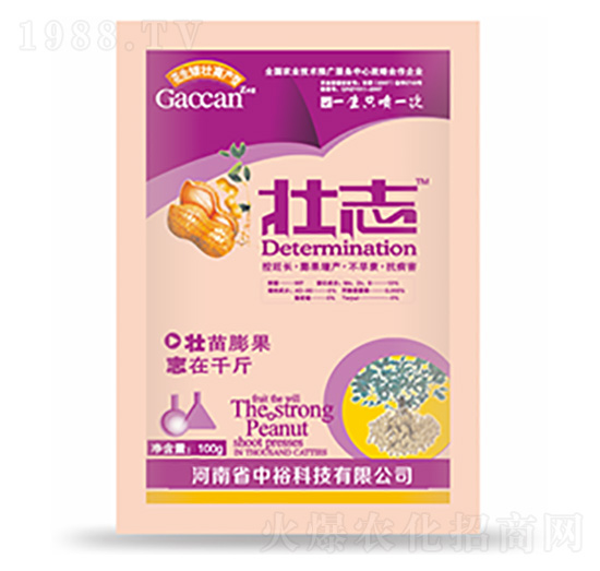 壯志-中?？萍? style=