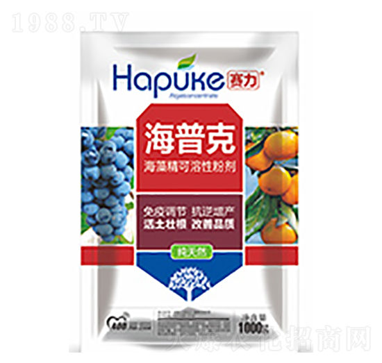 賽力海普克-中?？萍? style=