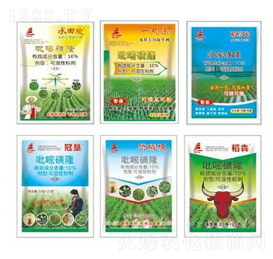 10%���׻��������M��������-ϲ�S��