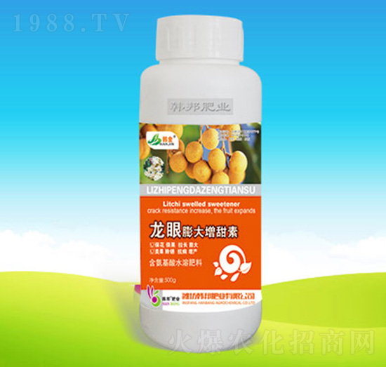 �������������-�n��ʘI(y��)