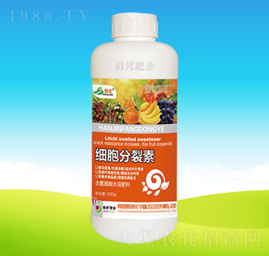 ���������أ�1000g��-�n��ʘI(y��)