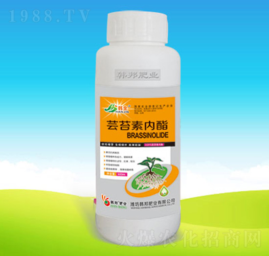 �|̦�؃�����500g��-�n��ʘI(y��)