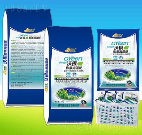 �ָ���������-�n��ʘI(y��)