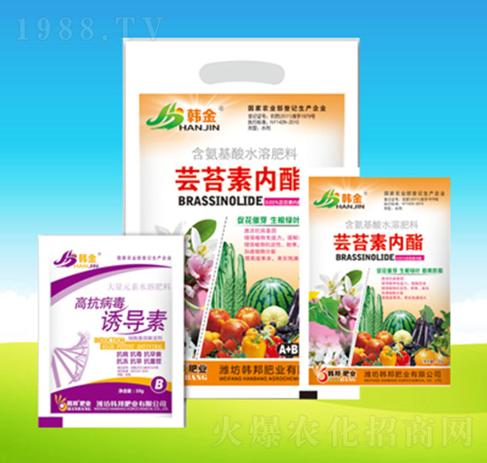 �|̦�؃�֬-�n��-�n��ʘI(y��)