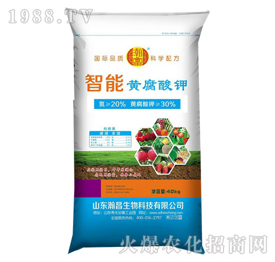 �����S�����-嫲�����