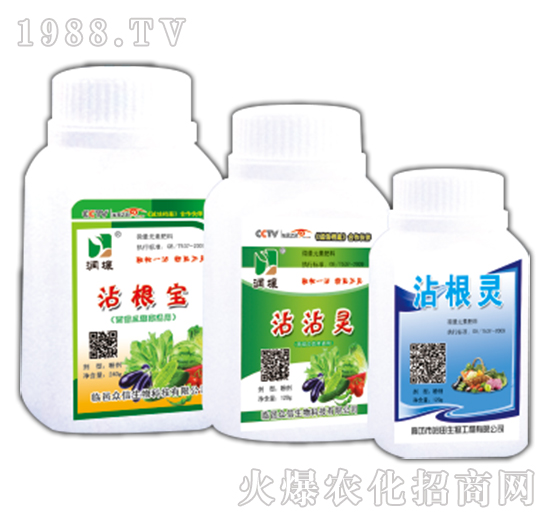 մ����մմ�`մ���`-����-������