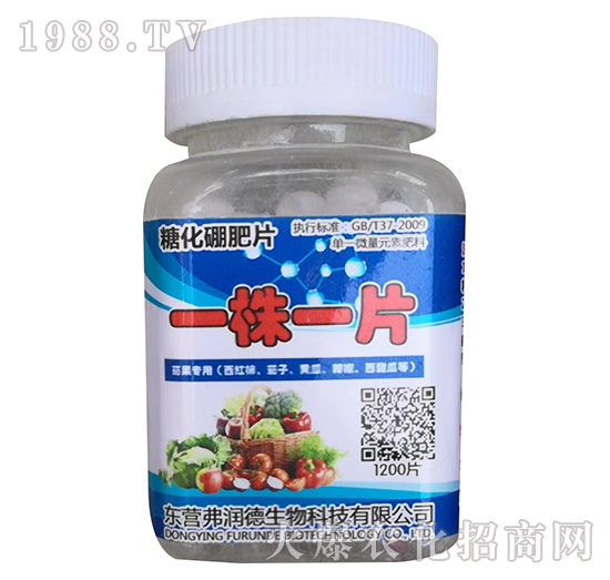 �ǻ����Ƭ-һ��һƬ-������