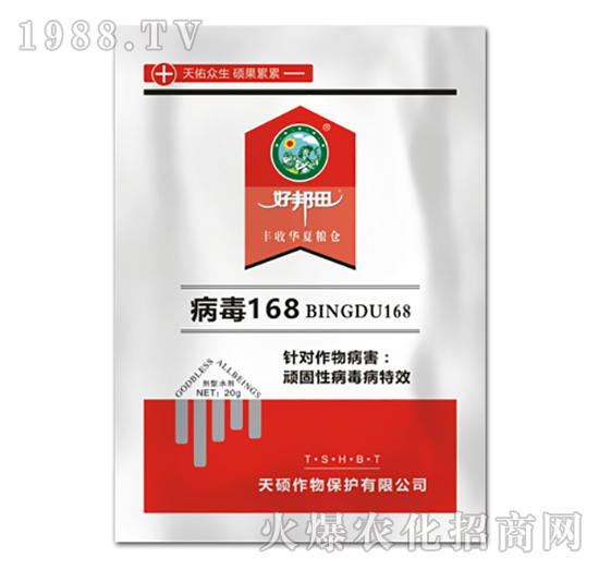 ����168-�ð���-��T����