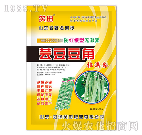 �|�����ǒ�M(m��n)��-Ц��