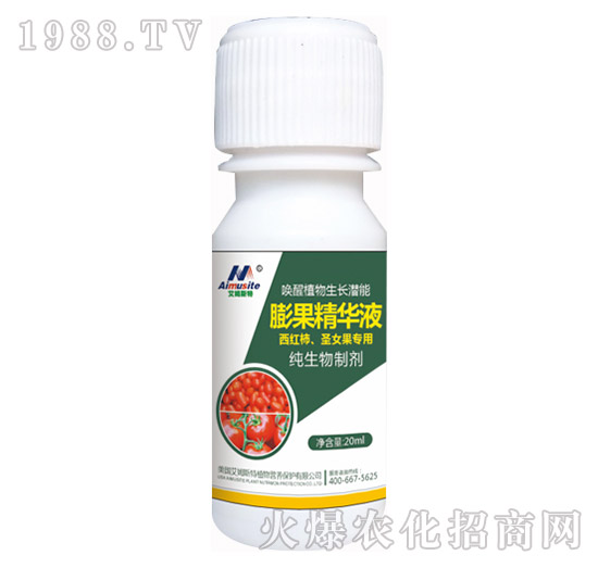 �������Ƅ�-���t����ʥŮ������-��ķ˹��