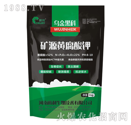 �VԴ�S�����-����ڿ�-��������