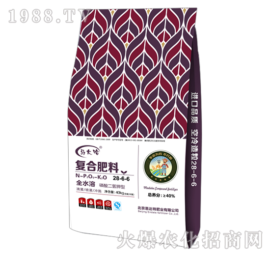 ���������͏ͺϷ���28-6-6-�R���