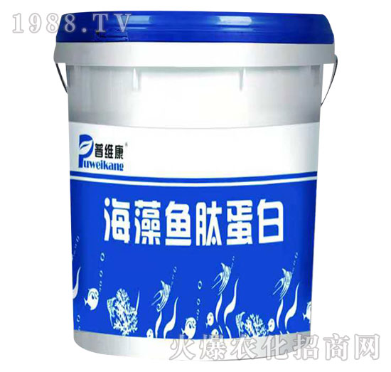 �����~�ĵ���-�վS��-�_�_