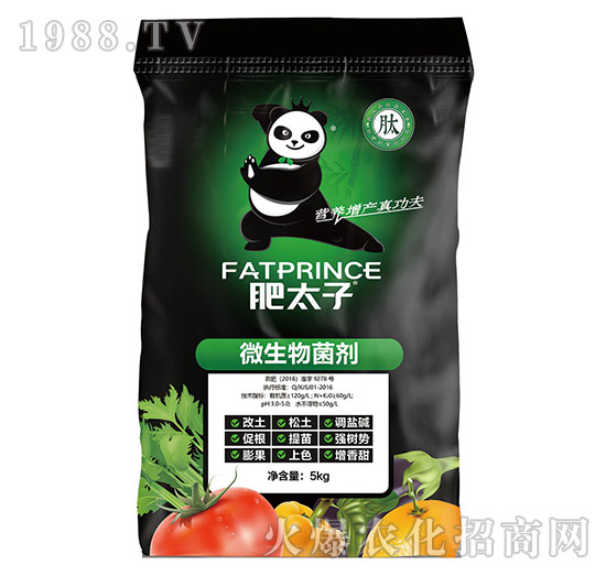 ΢�������-��̫��