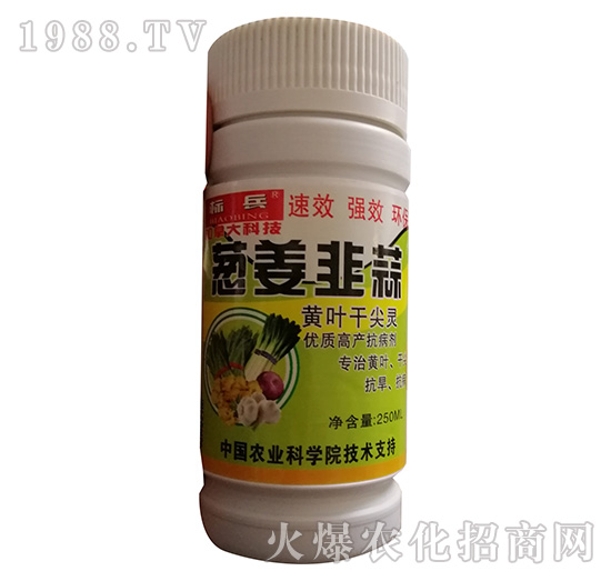 ƿ�b�[�������S�~�ɼ��`-�˱�-���S��