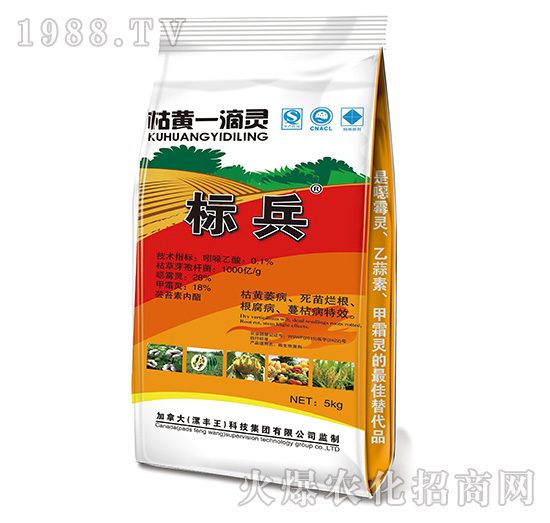 枯黃一滴靈-標兵-漯豐王