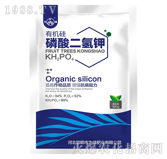 500g�ЙC����������-���