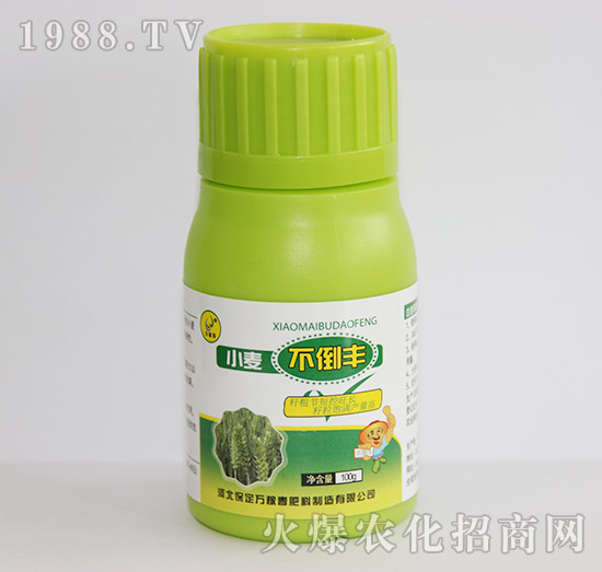 小麥不倒豐-萬(wàn)稼春