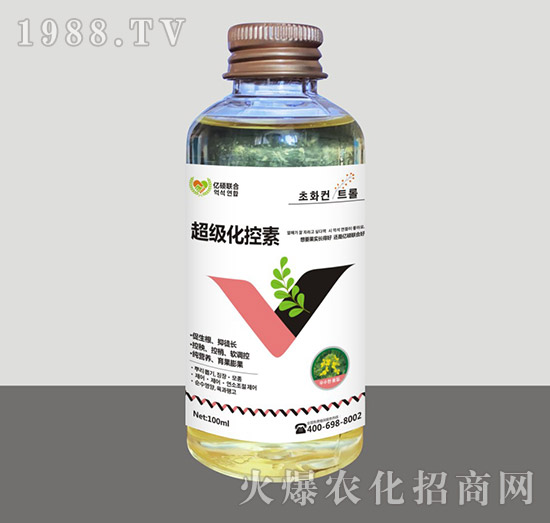 ����������-�R�Sֲ��