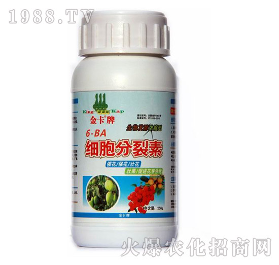 細(xì)胞分裂素-金卡-德?tīng)柹? style=