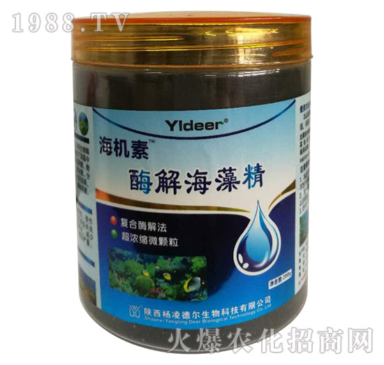 酶解海藻精-海機素-德爾生物