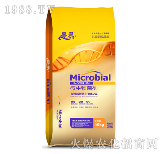 ΢�������-ϲ��