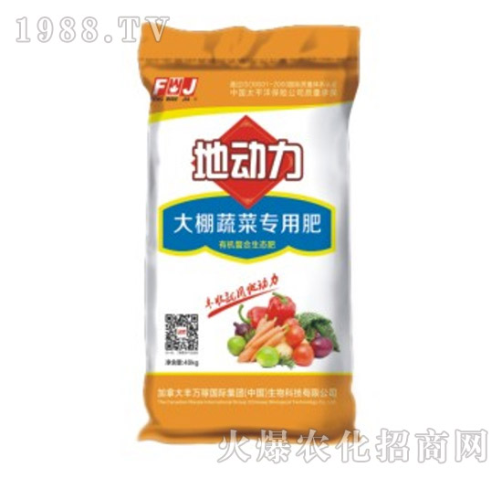 �����߲ˌ��÷�-�؄�(d��ng)��-�S�f(w��n)��