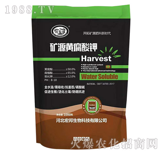 �VԴ�S�����-�ֺ��