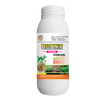 ����һƬ�t-��@���S-���S�ʘI(y��)