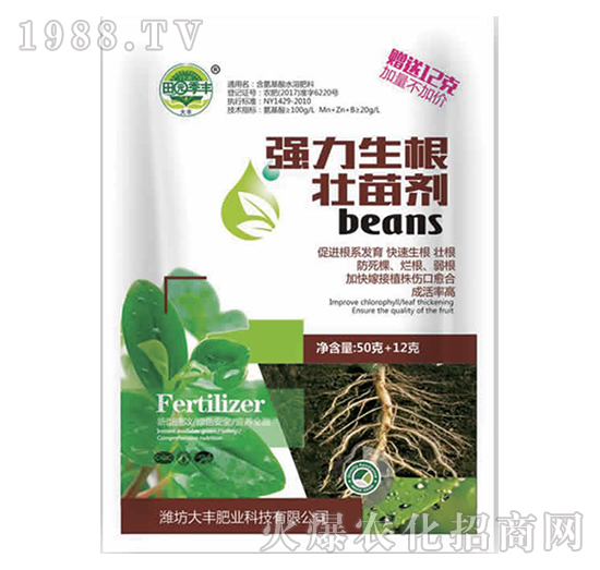 �����������焩-��@���S-���S�ʘI(y��)