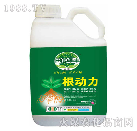 ����(d��ng)��-��@���S-���S�ʘI(y��)