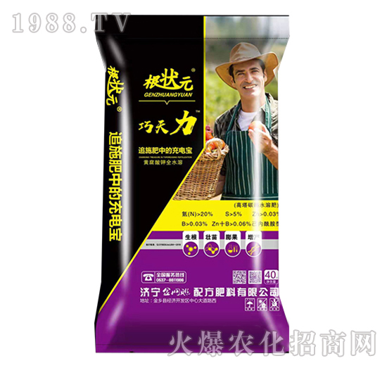 ������-����Ԫ-��W(w��ng)(li��n)