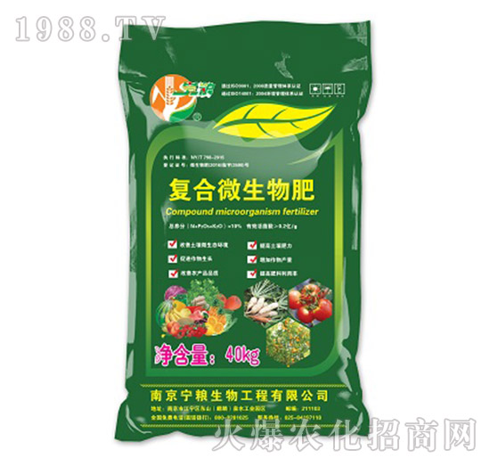 10%�ͺ�΢�������-���Z����