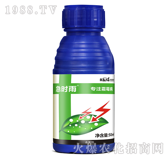 ˪ù�����Ú�����-���r(sh��)��-�к���(r��n)��