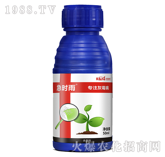 ��ù�����Ú�����-���r��-�к�����