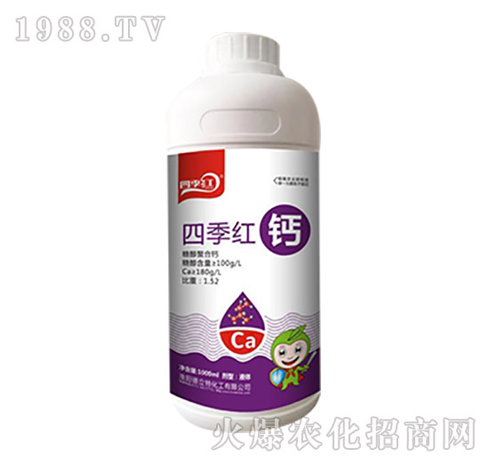 �ļ��t�}-�ļ��t-������