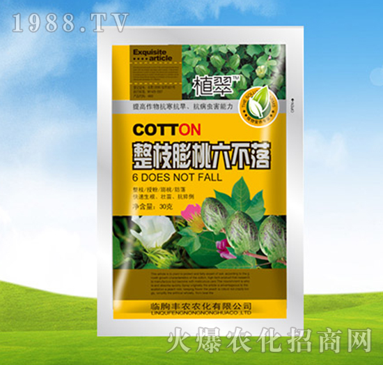 整枝膨桃六不落-植翠-豐農農化