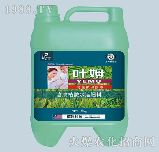 茶葉專配冬氨酸藻姆菌素-茶葉根補精-葉姆