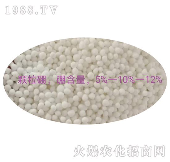 �w�������-���������