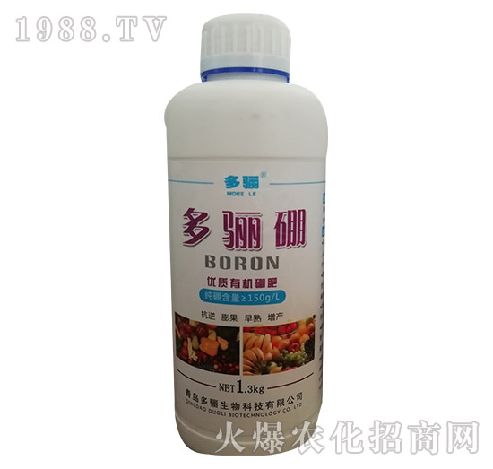 ���P��ƿ��-���P����