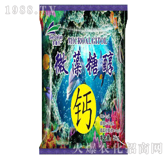 ΢���Ǵ��}-ʥ���m