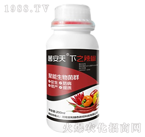 �������þ��������Ⱥ-��������-���ϰ���