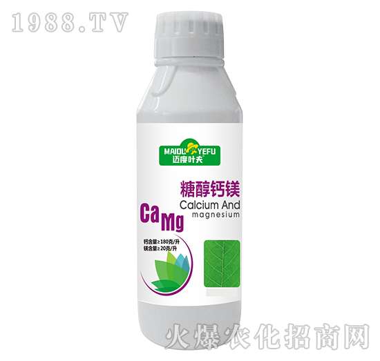 �Ǵ��}�V-�~���~��