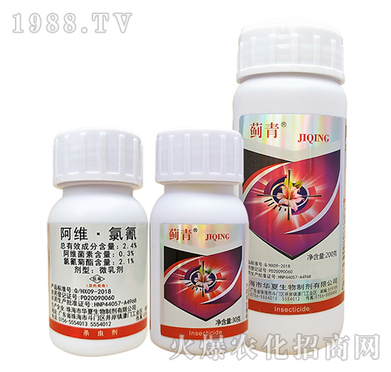 2.4%���S������-�E��-�A������