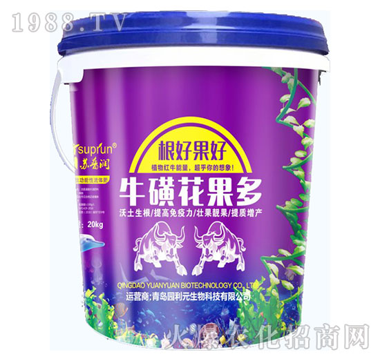 ���ǻ�����-�@��Ԫ