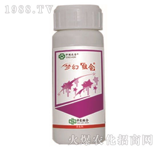 20%���x��-��(m��ng)�ýM��-���r(n��ng)(li��n)��