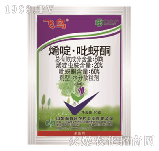 80%ϩड�����ͪ-�w�B(ni��o)-���r(n��ng)(li��n)��