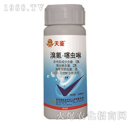 15%���衤���x(ch��ng)��-���b-���r(n��ng)(li��n)��