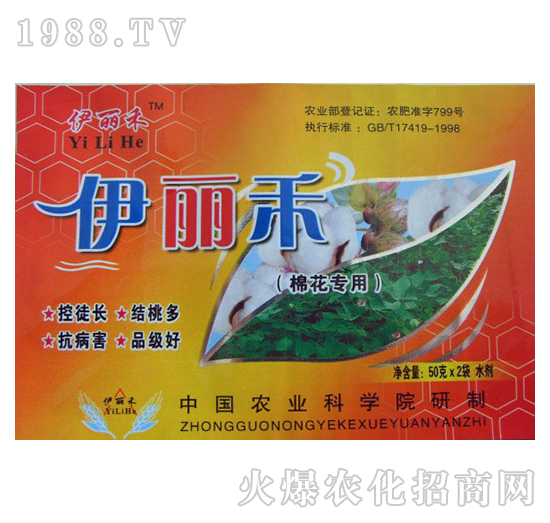 �޻������~���-������-�r�ɸ�