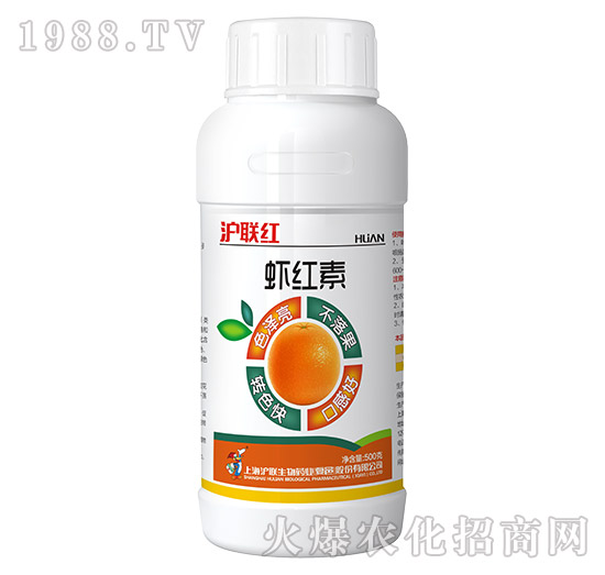 �r�t��-��(li��n)�t-��(li��n)